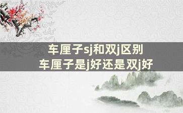 车厘子sj和双j区别 车厘子是j好还是双j好